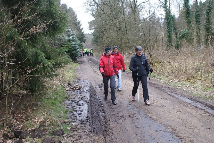 Bosloop Brecht - 21